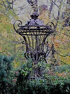 Old Ivy Walk