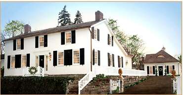 Old Ivy Walk