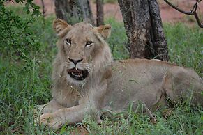 Nyati Safari Lodge