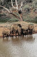 Nyati Safari Lodge