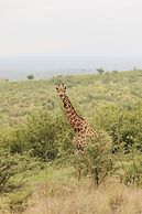 Nyati Safari Lodge