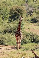 Nyati Safari Lodge