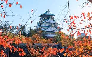 Hotel Mikado - Hostel