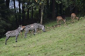 Lake Bunyonyi Eco Resort