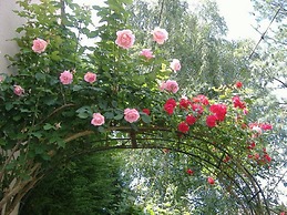 Flame Flowers Homestay