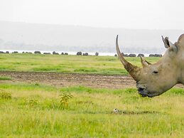 Lake Nakuru Lodge