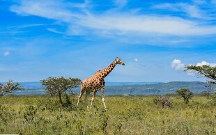 Lake Nakuru Lodge