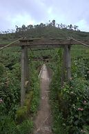 Grand Plaza Munnar