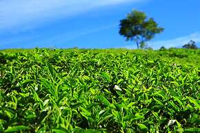 Grand Plaza Munnar