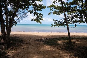 King Reef Resort