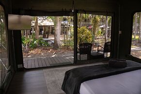 King Reef Resort