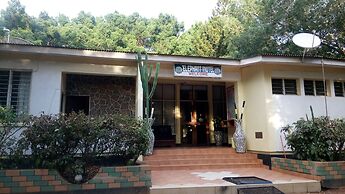 Elephant Motel