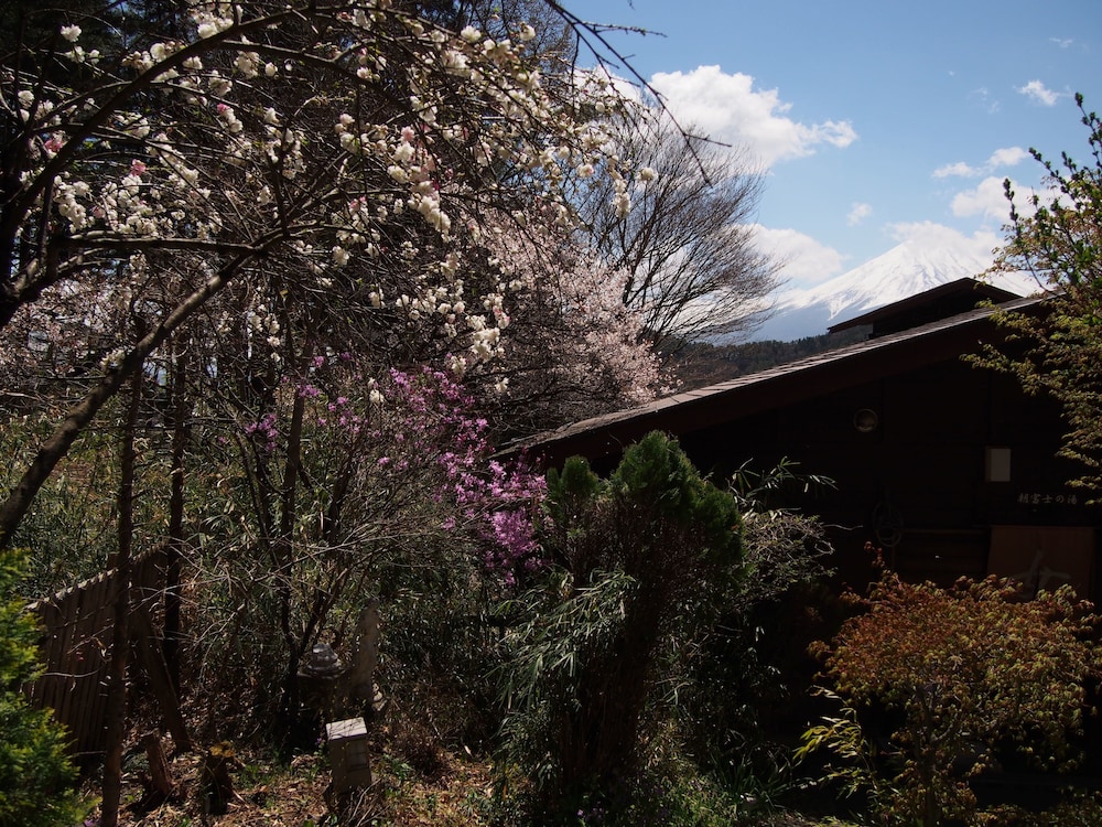Guesthouse Sakuya