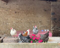 La Ferme D'ervée de Saint-Roch