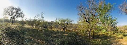 Wild Dog Guest Lodge