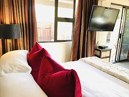 Wild Dog Guest Lodge