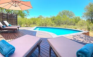 Wild Dog Guest Lodge