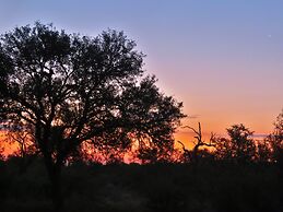 Wild Dog Guest Lodge