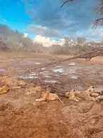 Wild Dog Guest Lodge