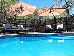 Wild Dog Guest Lodge