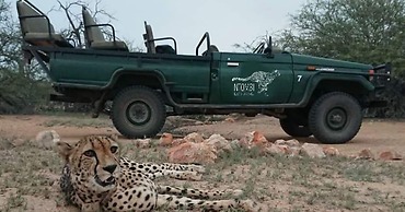 Wild Dog Guest Lodge