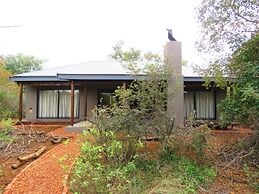 Wild Dog Guest Lodge
