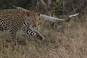 Naledi Game Lodges