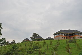 The Crested Crane Bwindi