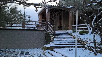 Bed House Floristella