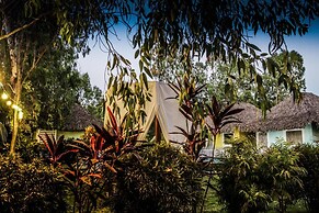 Las Dunas Surf Resort - Hostel