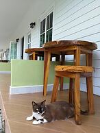 Blue Shore Cottage