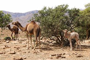 Tizourgane Kasbah
