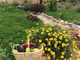 Ambar Evleri