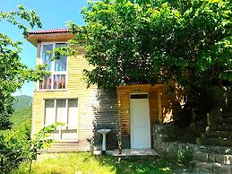 Kungut Hotel & Resort