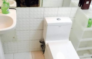 GoNative Homestay Xintiandi
