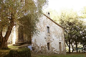 Casedigello