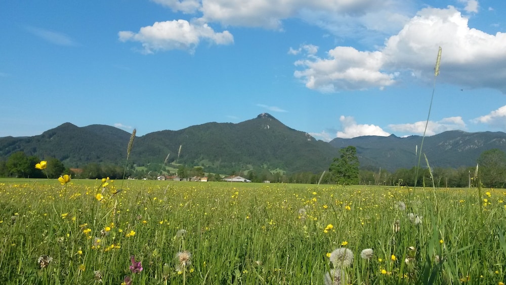 Zum Heisn