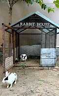 Click Resort Corbett, Tiger Den