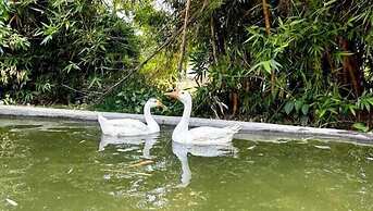 Click Resort Corbett, Tiger Den