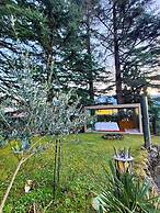 Villa Laura