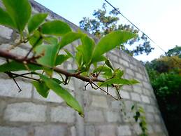 Lal HomeStay
