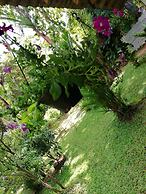 Lal HomeStay