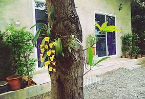 Mild Home Guesthouse