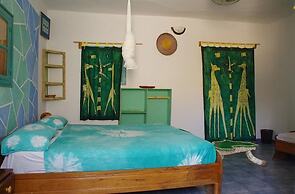 Hotel Mimosa - Hostel