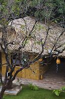 Tam Coc Palm House