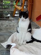 Cat Sky Country Homestay