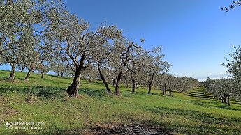 Rocca degli Olivi