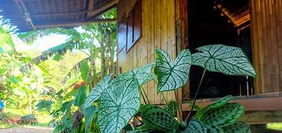 Theppahrak Home