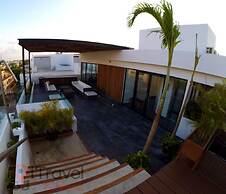 Areca