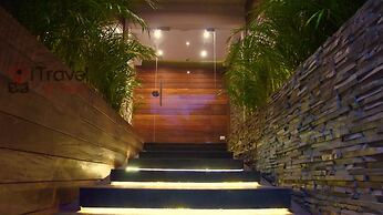 Areca